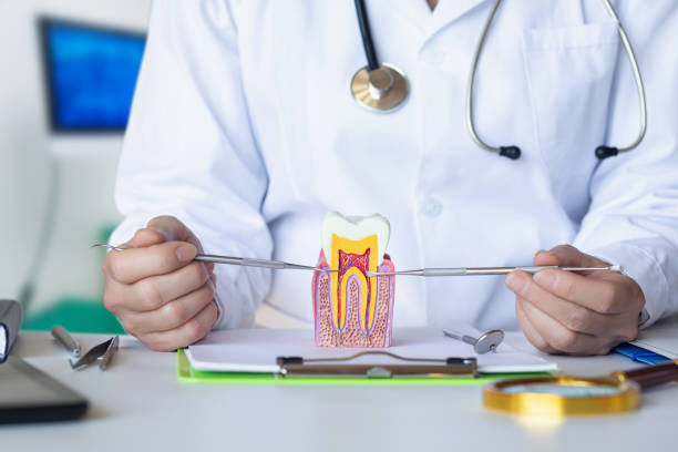 Best Tooth Infection Emergency Dentist  in Ellicott City, MD
